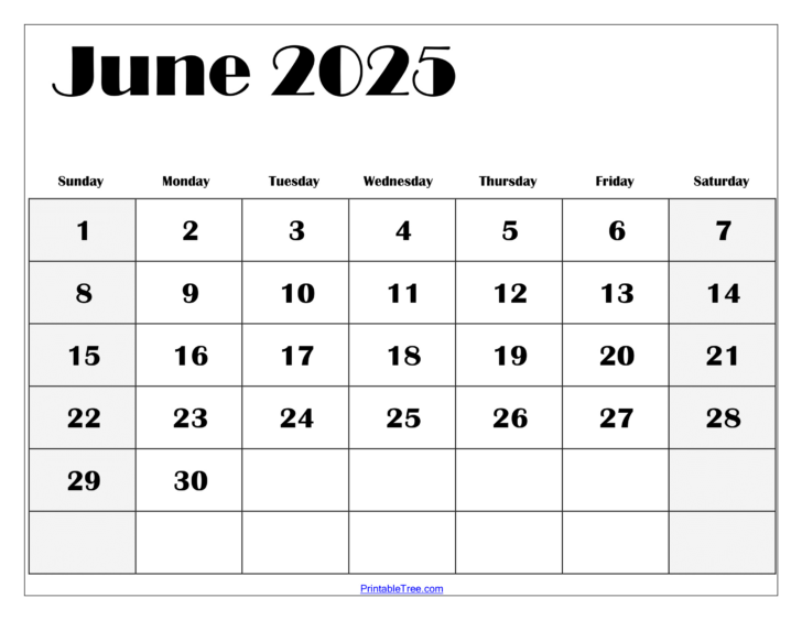 June 2025 Calendar Printable