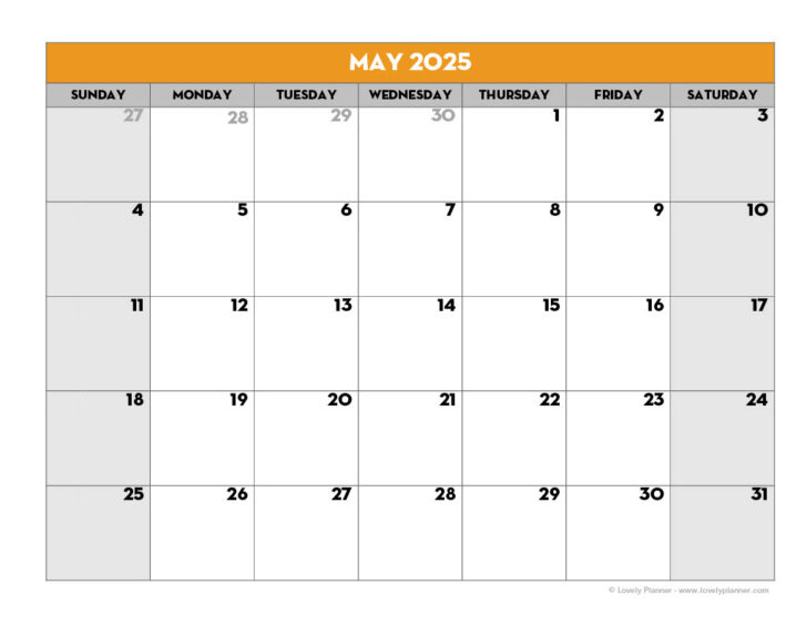 Printable Blank Calendar 2025 Template