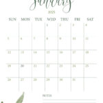 January 2025 Calendars   107 Free Printables | Printabulls Pertaining To Free Printable January 2025 Calendar