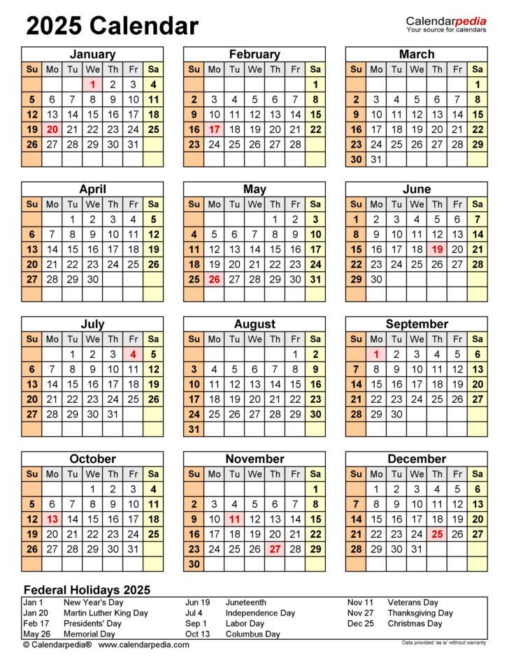 Printable 2025 Pocket Calendar