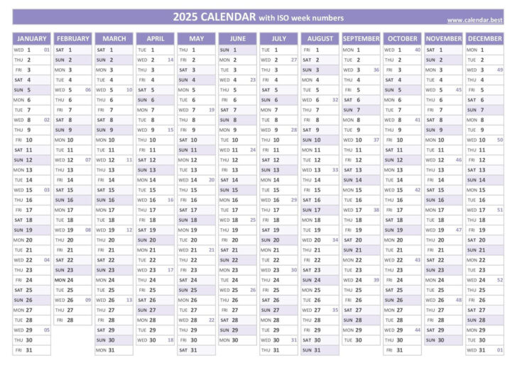 Printable 2025 Timeshare Calendar