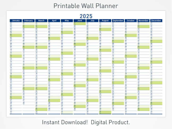 2025 Wall Calendar Printable