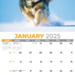 2025 Promotional Calendar | Household Pets And Animals | Low As 65¢ In Free Printable Dog Calendar 2025