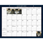 Amerikanische Katze Tischkalender 2025 Inside Cat Calendar 2025 Printable