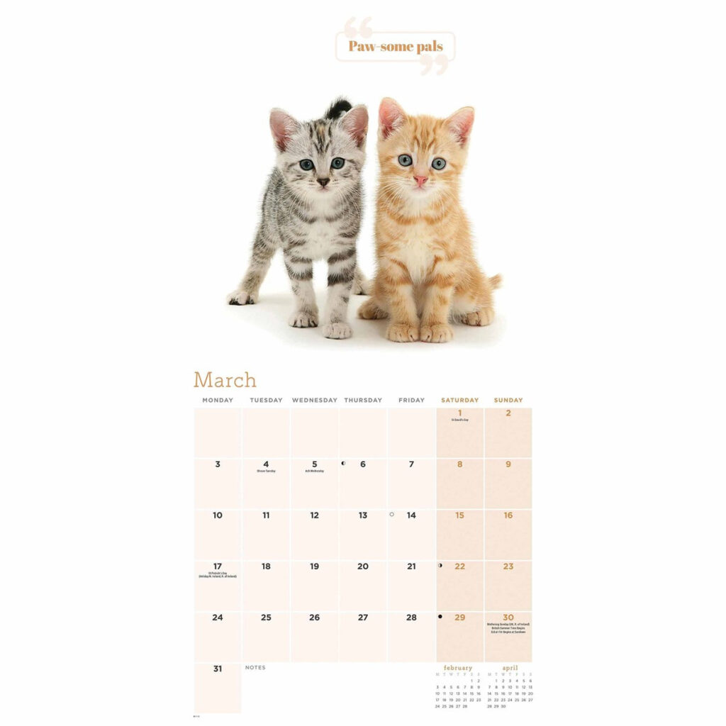 Cute Cats Calendar 2025 Regarding Free Printable Cat Calendar 2025