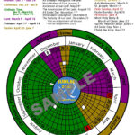 Druckbarer Liturgischer Kalender 2025, Herunterladbares Inside Catholic Liturgical Calendar 2025 Printable