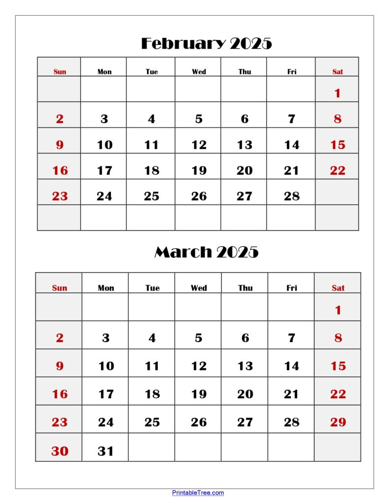 February And March 2025 Calendar Printable | Two Months Calendar intended for Printable February And March 2025 Calendar