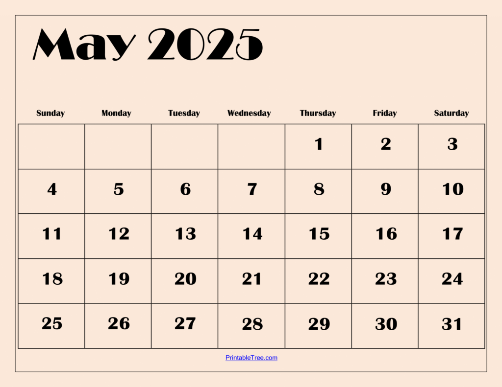 Free May 2025 Calendar Printable Pdf Template With Holidays Inside August 2025 May 2025 Calendar Printable