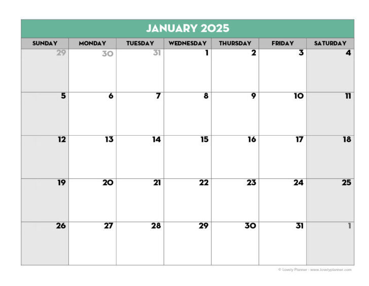 Printable 2024 2025 Calendar Printable