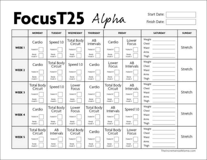 2025 Workout Calendar Printable Free