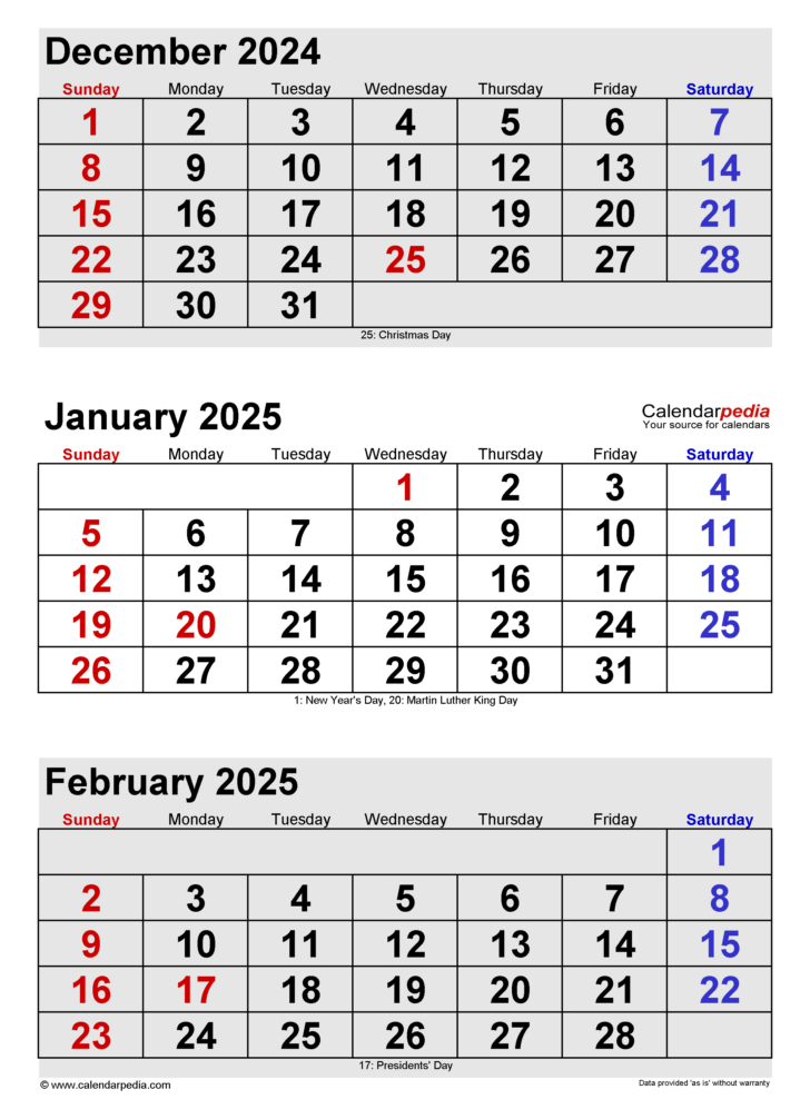 Printable Calendar December 2024 January 2025