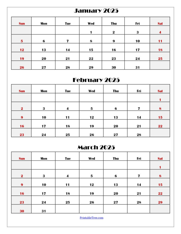 Printable Calendar 2025 January February March