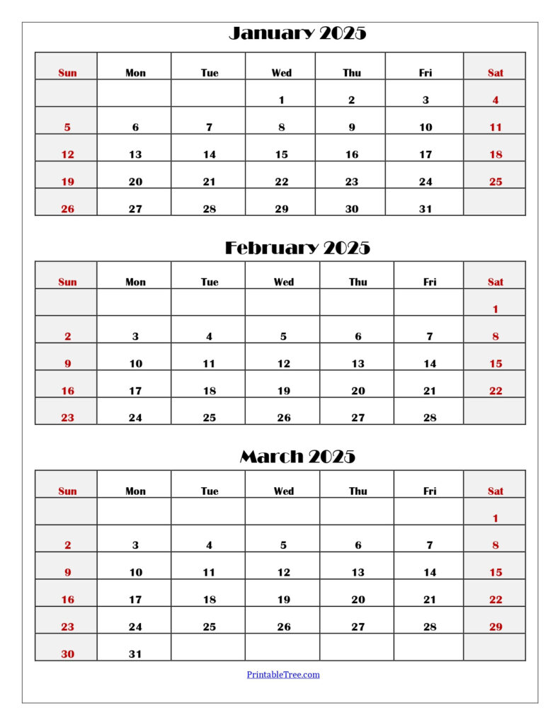 January To March 2025 Calendar | Three Months Calendar Within Printable Calendar 2025 January February March