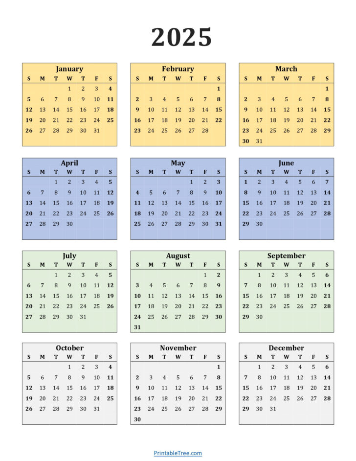 1 Page 2025 Calendar Printable