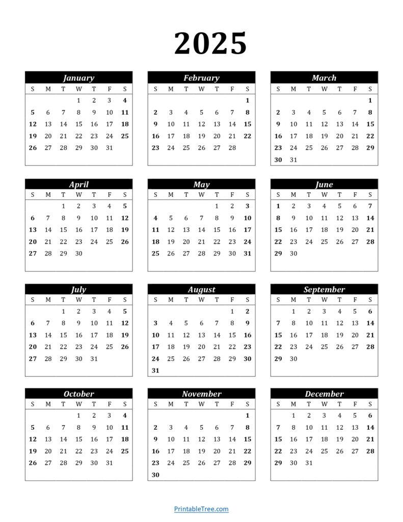 Printable Calendar 2025 One Page With Holidays (Single Page) 2025 In 2025 Julian Calendar Printable Free