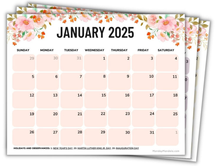 Free Printable Monthly Calendar 2024 – 2025