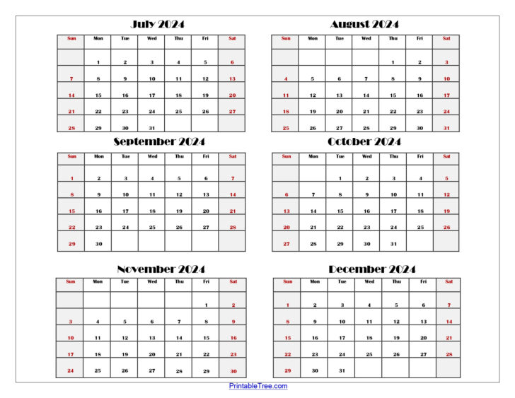 6 Month Calendar Printable 2025