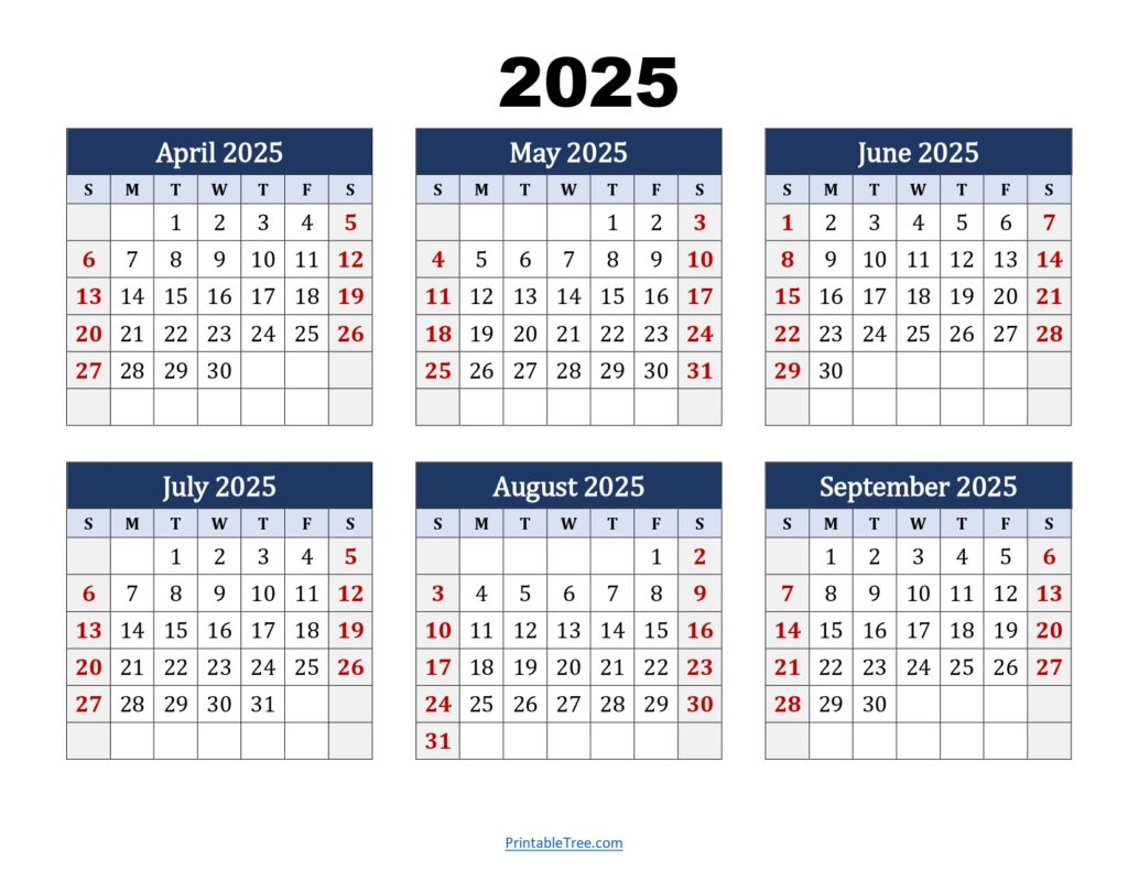 Six Month Calendar 2024-2025 Printable Pdf- 6 Months Calendar regarding 2025 6 Month Calendar Printable